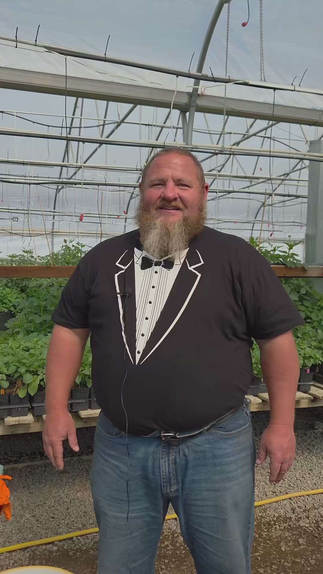 Load video: A demonstration of the sanitation practices used at Dapper Dahlias by Moose to reduce the spread of plant diseases while propagating dahlias.
